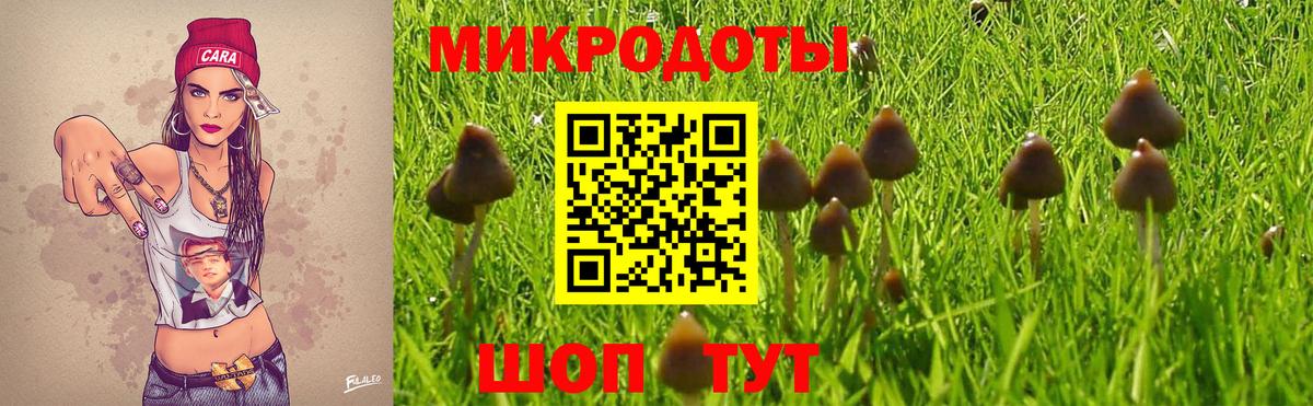 Галлюциногенные грибы GOLDEN TEACHER Старая Русса